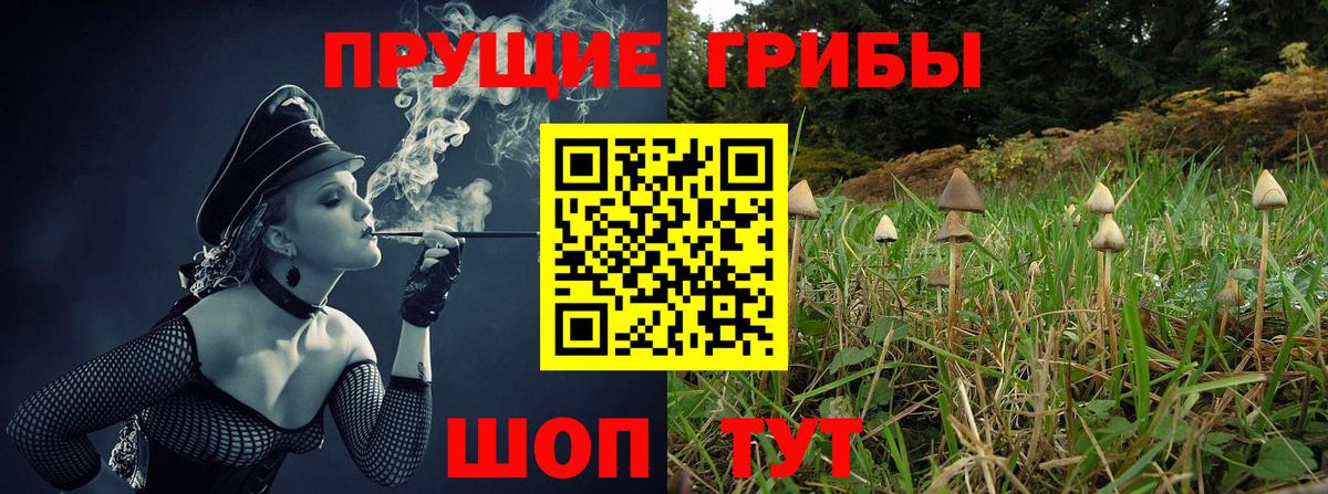 Санкт-Петербург  где купить   Вход с VPN  Галлюциногенные грибы Cubensis 